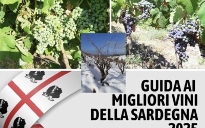 CARI’ – 3° Classificato tra “I migliori Cagnulari”